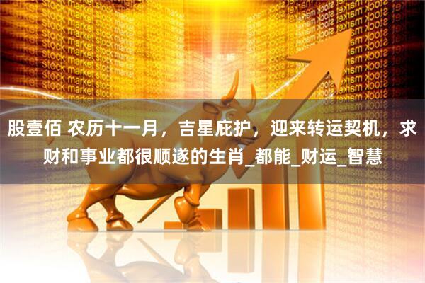 股壹佰 农历十一月，吉星庇护，迎来转运契机，求财和事业都很顺遂的生肖_都能_财运_智慧