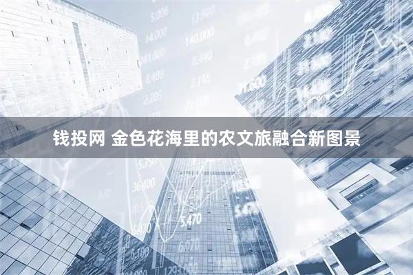 钱投网 金色花海里的农文旅融合新图景