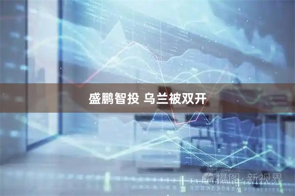 盛鹏智投 乌兰被双开